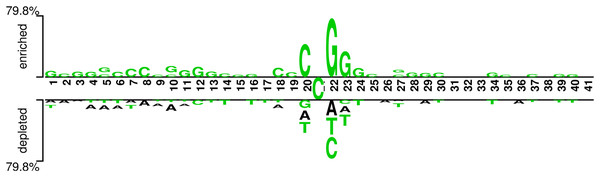 Demonstration of nucleotide composition preferences between positive and negative samples in the benchmark datasets.