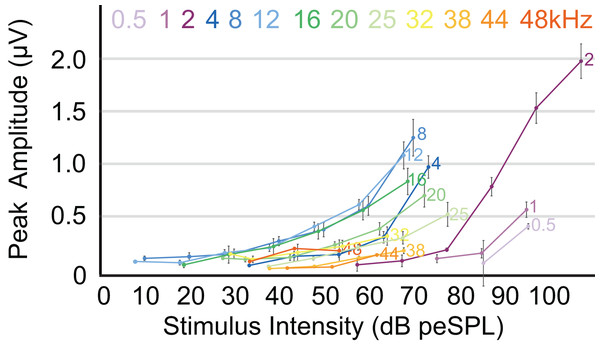 ABR amplitude across selected frequencies.