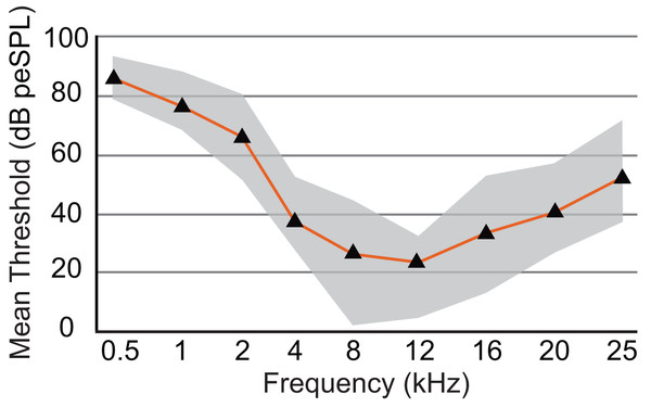 Audiogram of ABR-derived thresholds for Dasypus novemcinctus.