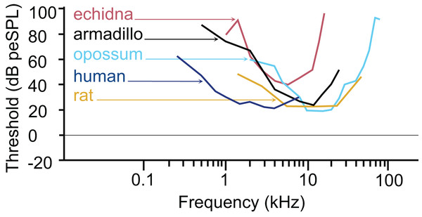 Comparative audiogram.