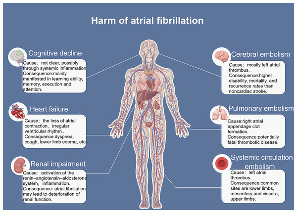Risk factors for atrial fibrillation.