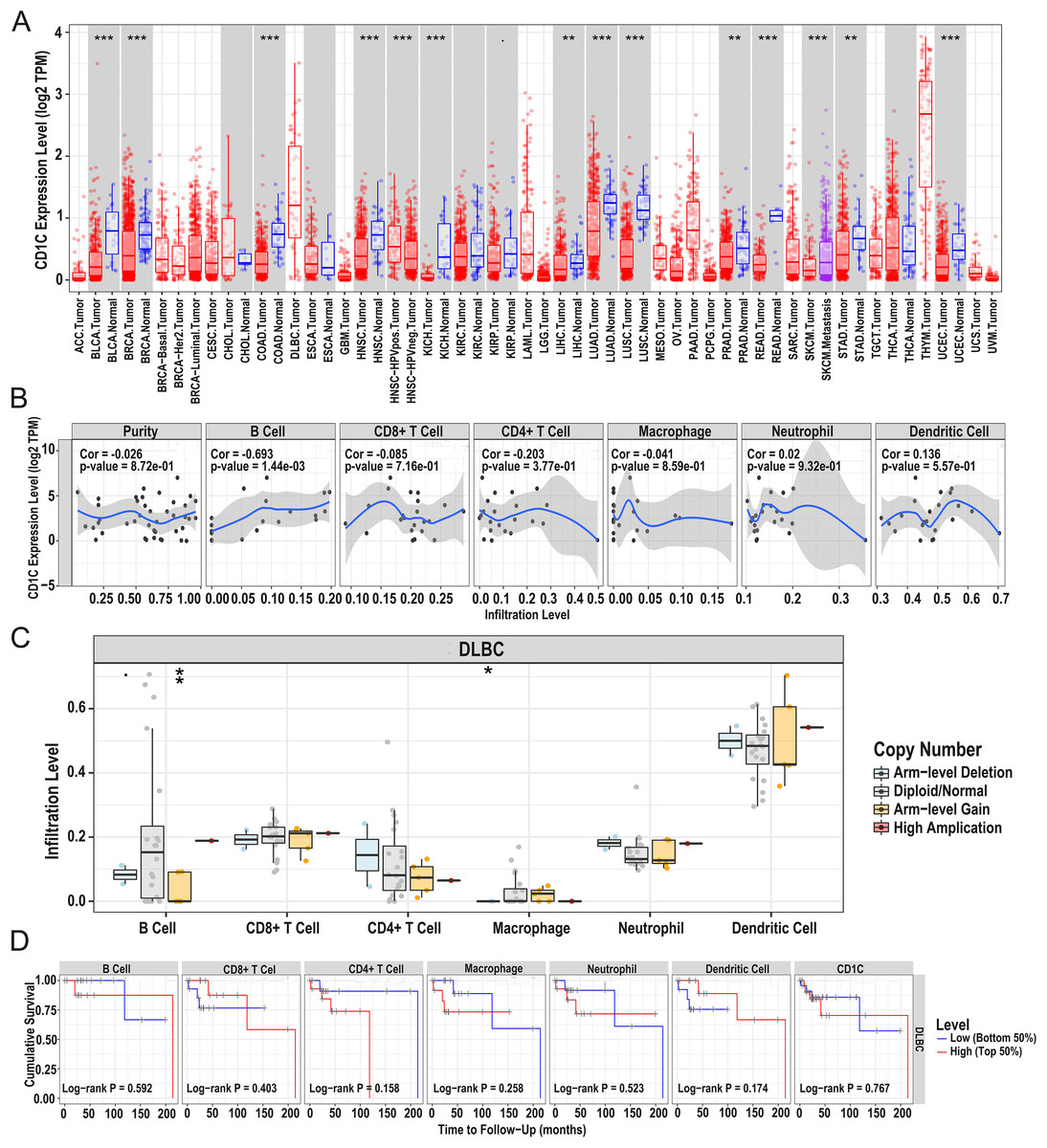 Identifying CD1c As A Potential Biomarker By The Comprehensive ...