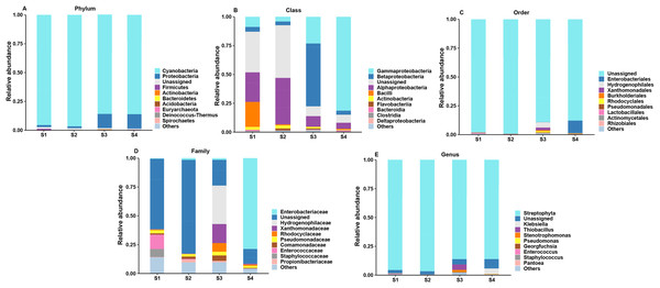 Top 10 relative abundances of bacterial communities classified at different germination stages of pecan seeds as: (A) phylum, (B) class, (C) order, (D) family and (E) genus.