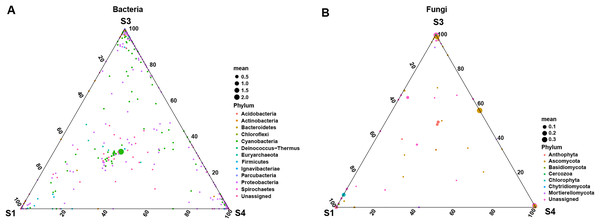 Ternary plot of (A) bacterial ASV distribution for S1, S3, and S4 stages and (B) fungal ASV distribution for S1, S3, and S4 stages.