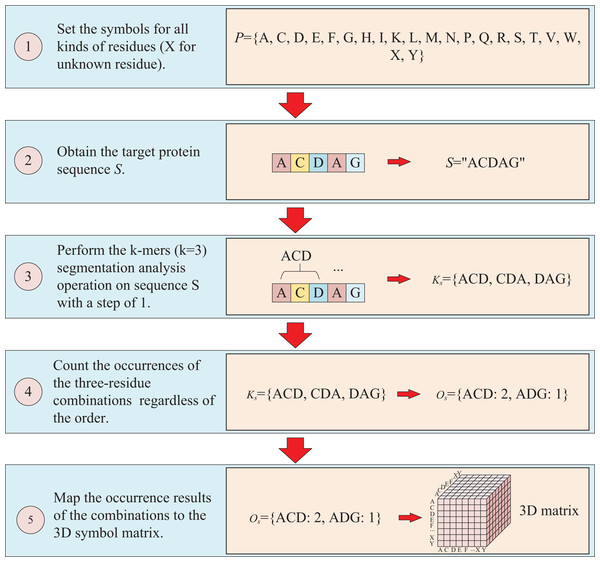 This figure illustrates the process of transforming protein sequence into a three-dimensional matrix using the k-mers operation.
