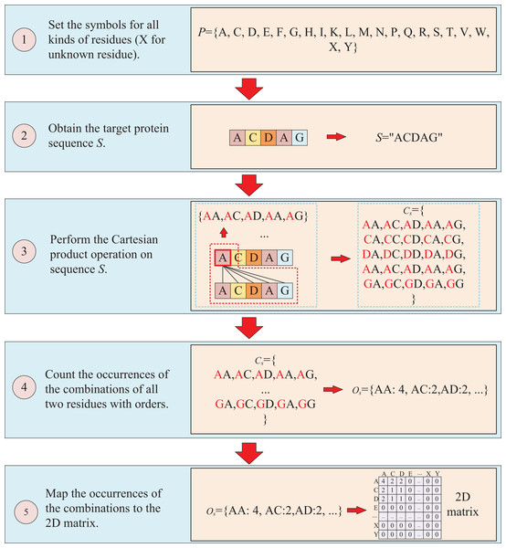 This figure illustrates the process of transforming protein sequence into a two-dimensional matrix using the Cartesian product operation.