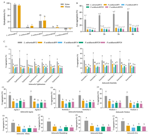 Cell surface properties of the selected LAB isolates.