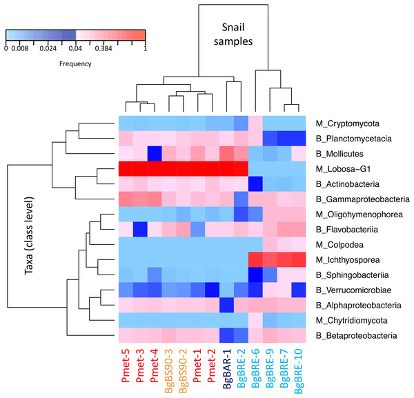 Distribution of dominant snail-associated microbial communities at the class level.