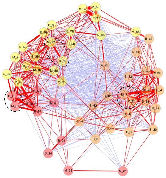 Network analyses between dominant microeukaryotes and bacteria.