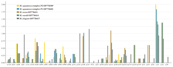 The Ka/Ks values of 35 protein-coding genes (PCGs) of five Myricaria chloroplast genomes for comparison with M. laxiflora.