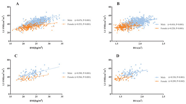 The association between SMI and BMI/BSA.