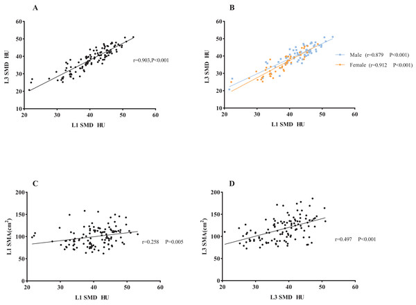 The association between L1 SMD and L3 SMD and the association between SMD and SMA.