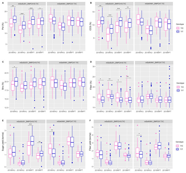 Boxplots showing the effect of the SNP markers, including mSoSUS1_SNPCh10.T/C and mSoKAN1_SNPCh7.T/C associated with sugar-related traits.