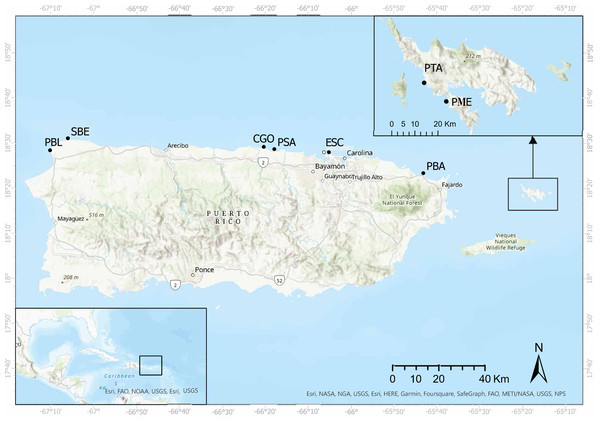 Surveyed sites along the eastern and northern coasts of Puerto Rico and Culebra Islands.