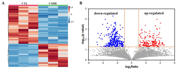 Overview of differentially expressed peptides in CSDH compared with control.