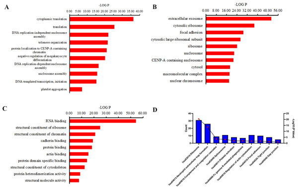 GO term and KEGG pathway analysis of precursor proteins of differentially expressed peptides.