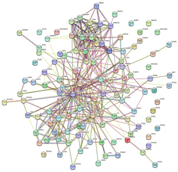 Protein interaction network analysis of the precursor proteins of differentially expressed peptides by STRING.