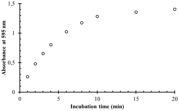 The dependence of the absorbance of the coloured reaction product on the incubation time.