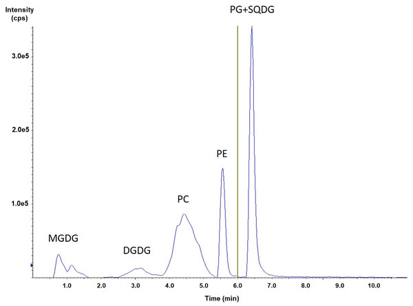 HILIC-ESI-MS/MS analysis of a phospholipid and glycolipids extracted from S. costatus.