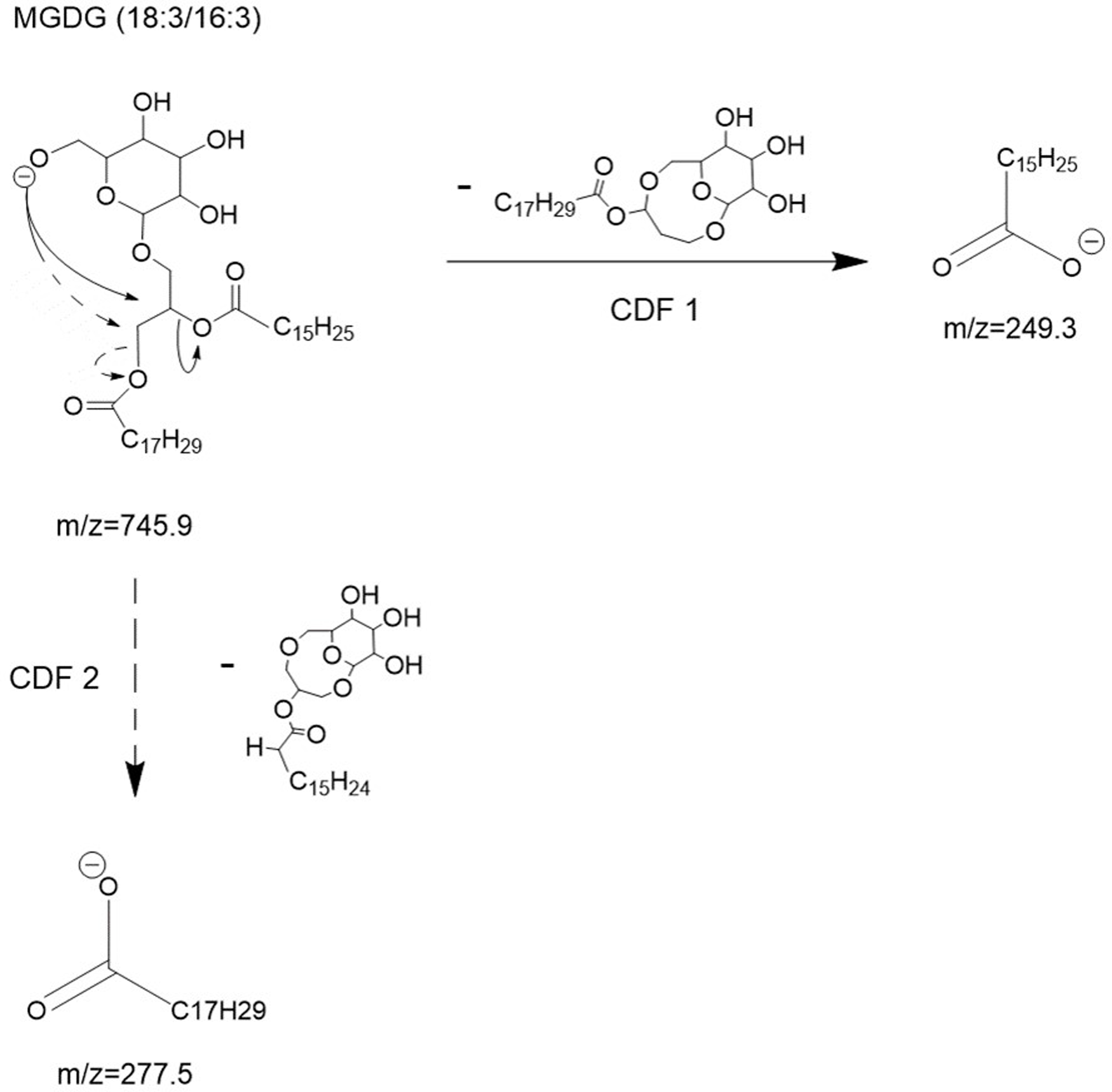 Molecular species composition of polar lipids from two microalgae Nitzschia  palea and Scenedesmus costatus using HPLC-ESI-MS/MS [PeerJ]