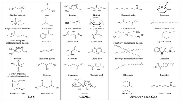 Exploring the potential of deep eutectic solvents (DES) in bioactive ...