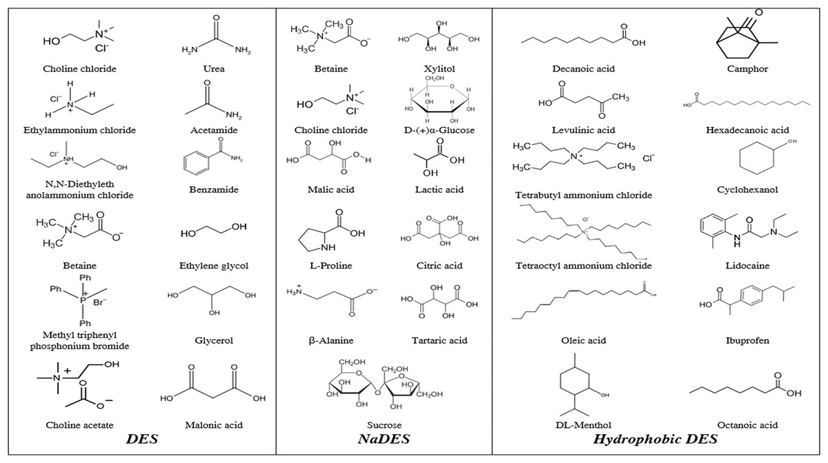 Exploring the potential of deep eutectic solvents (DES) in bioactive ...