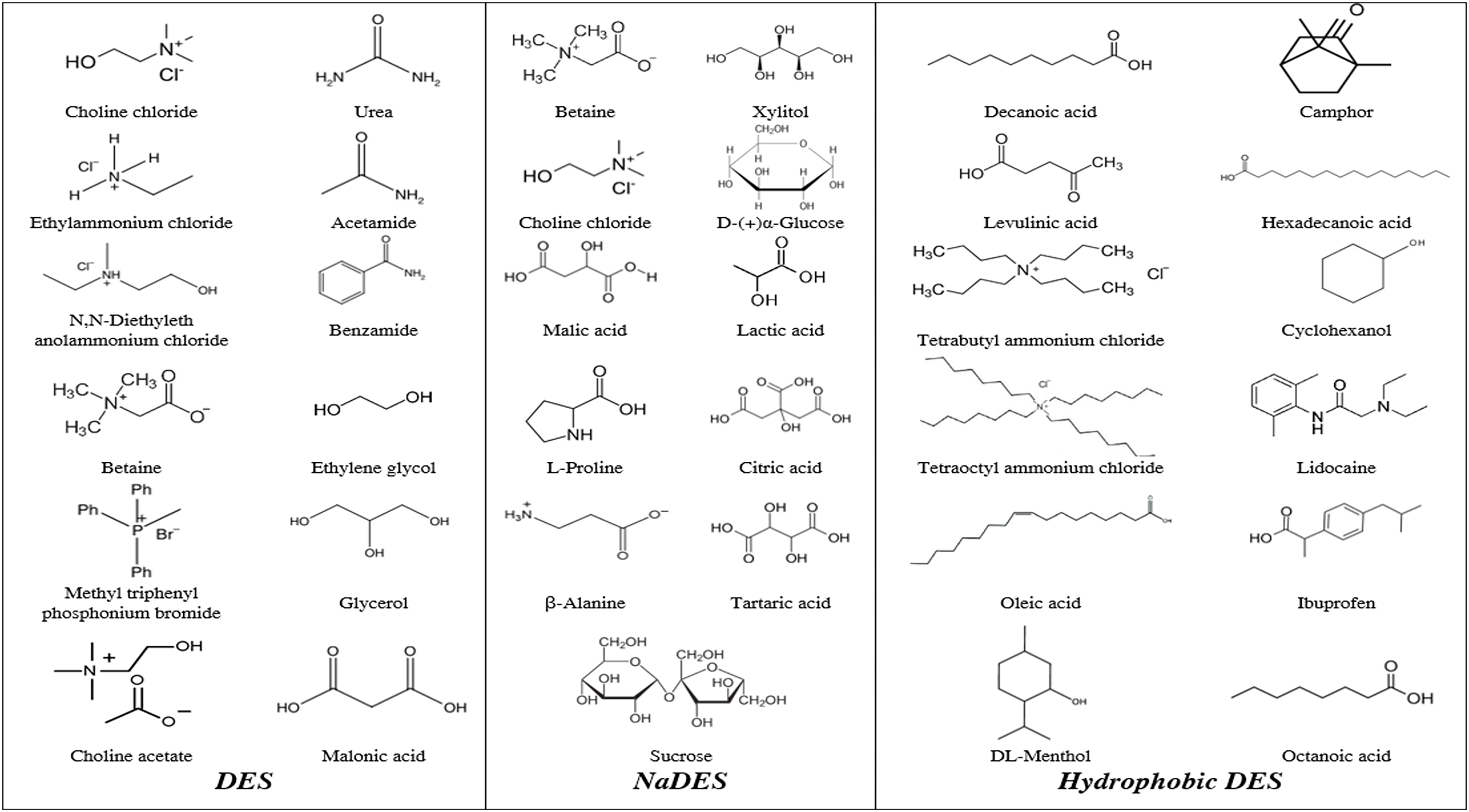 Exploring the potential of deep eutectic solvents (DES) in bioactive ...