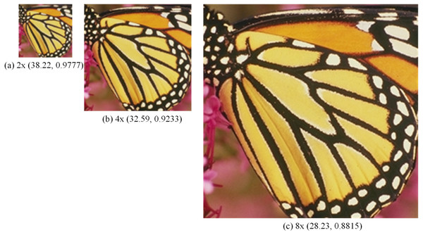 SR images of butterfly.