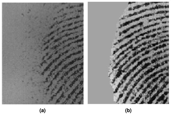  Fingerprint image (A) original (B) segmented.