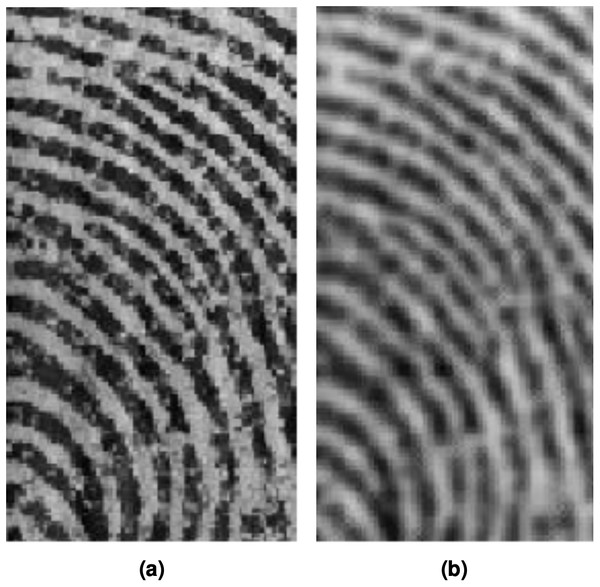 Fingerprint image (A) non-smoothed image (B) smoothed image.