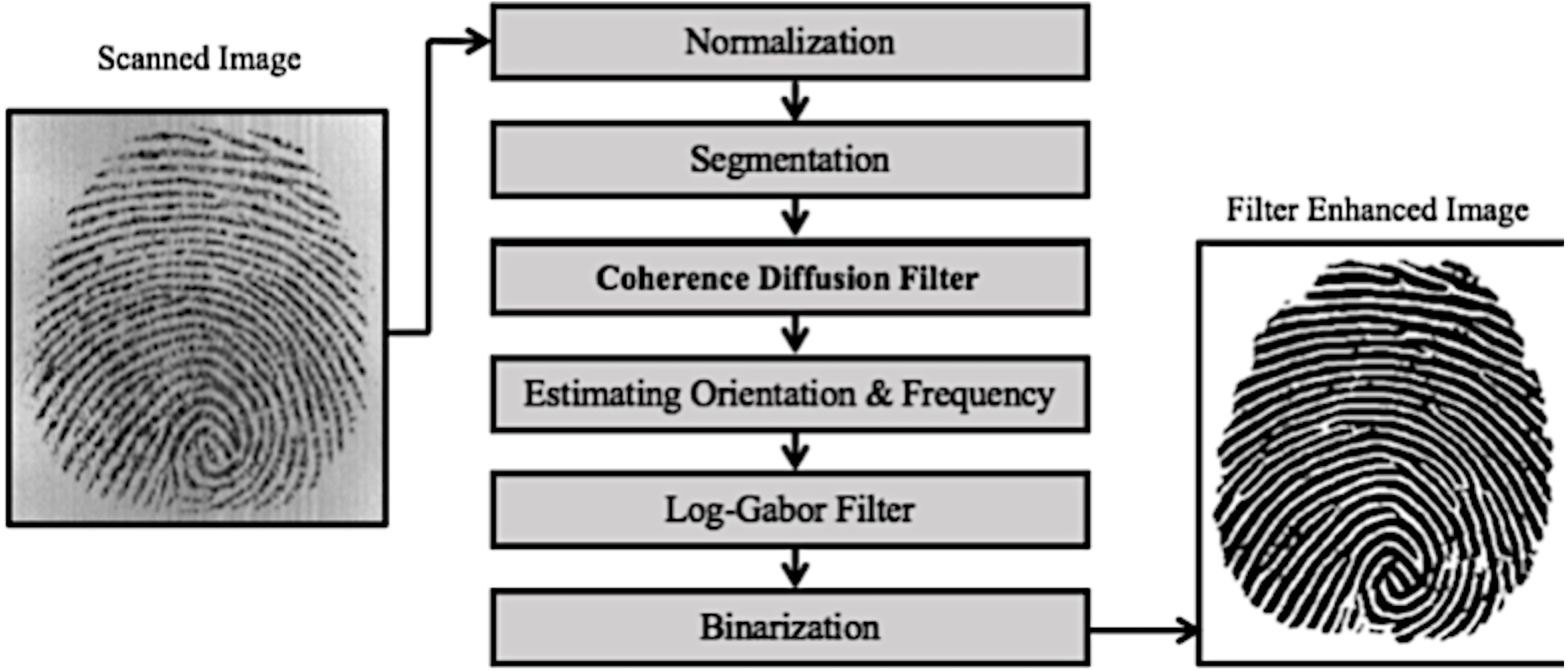 Fingerprint Image Enhancement Using Multiple Filters [PeerJ]