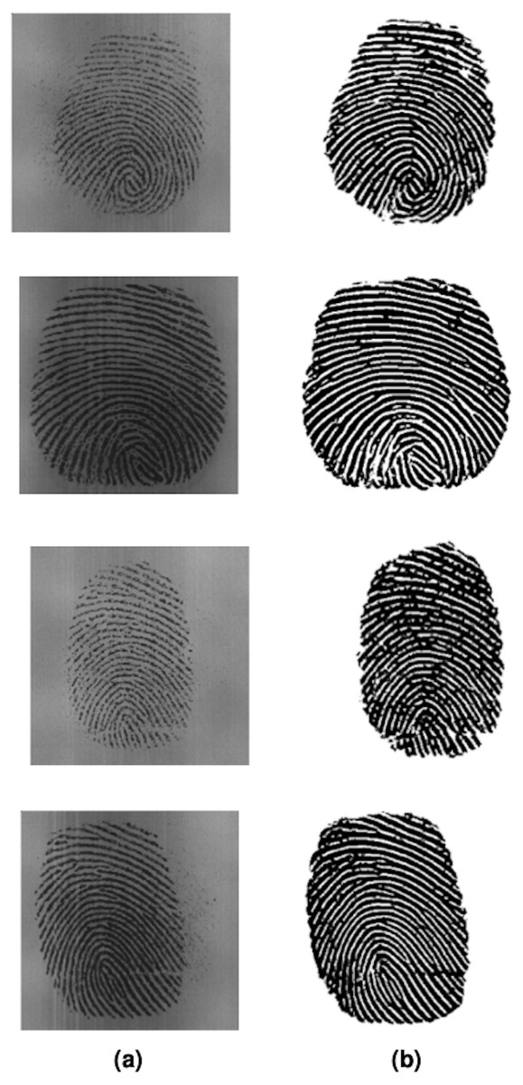 Fingerprint Image Enhancement Using Multiple Filters [PeerJ]