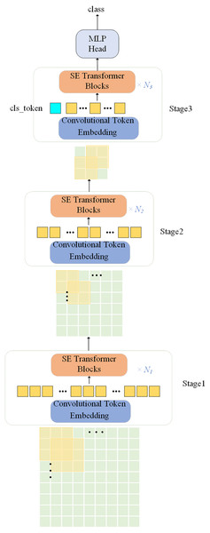 Overall architecture of the proposed SE-ViT model.