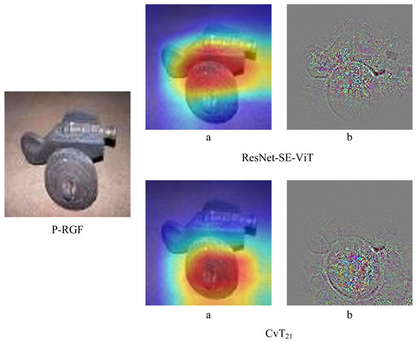 Differences between ResNet-SE-ViT and CvT when extracting features.