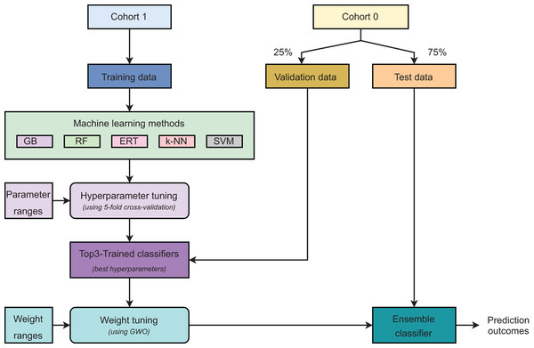 Major steps in model development.