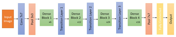 DenseNet architecture.