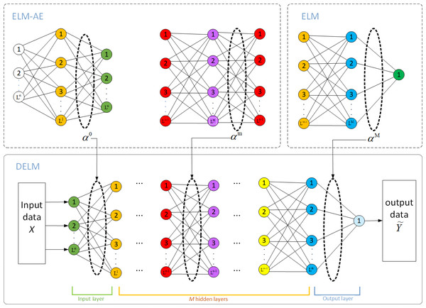 Model structure of DELM.