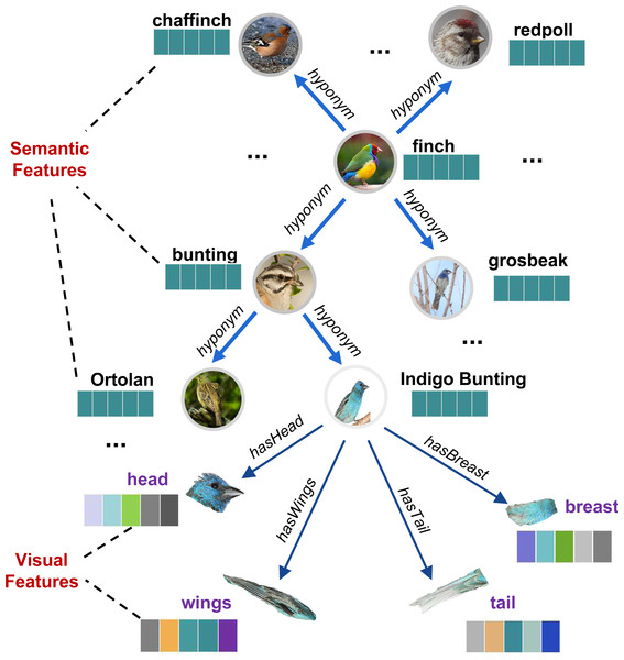 An example of a semantic-visual shared knowledge graph (SVKG) about the finch.