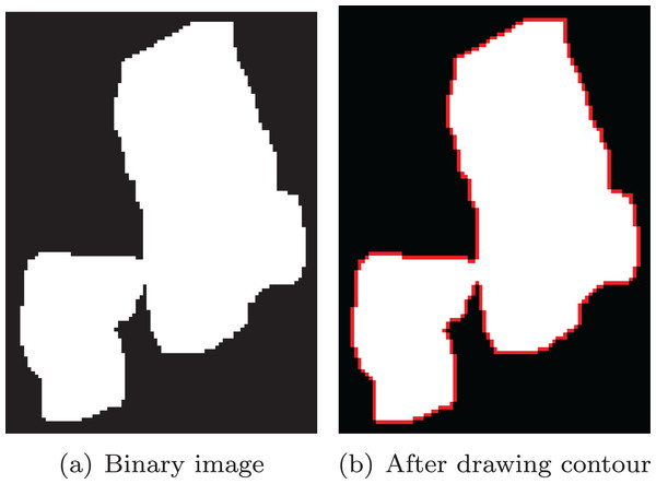 Extract the contour from the binary image.