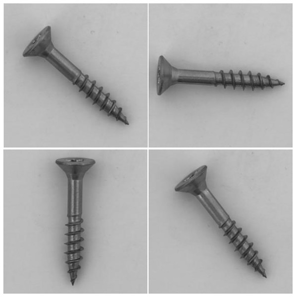 Visualization of “screw” dataset, where the samples are placed randomly.