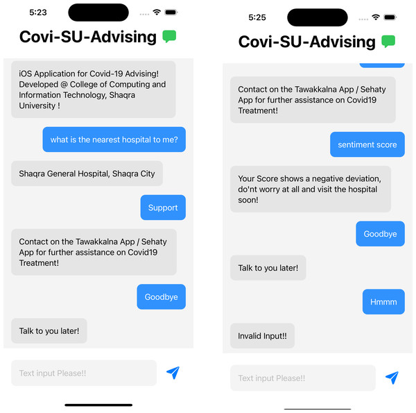 Sentiment analysis screen for the application.