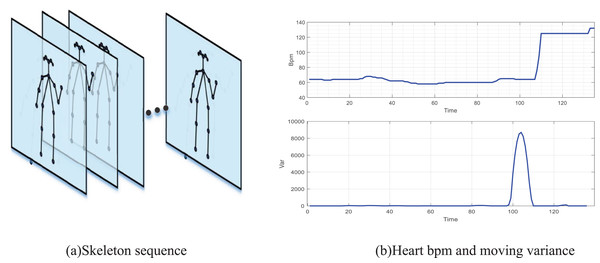 Processed video sequence and heart bmp.