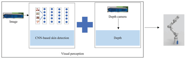 The perception process in the bathing tasks: achieving the three-dimensional positioning of the target.