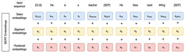 BERT input representation.