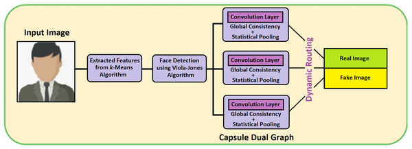 Capsule graph network.