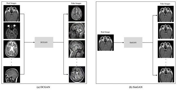 The input size difference between DCGAN and SinGAN.