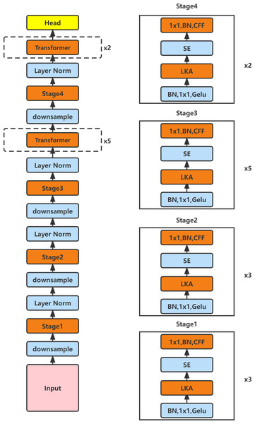 The structure diagram of SE_LKACAT.