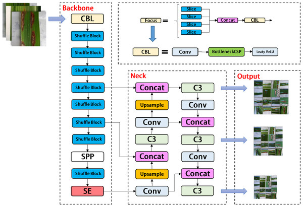 Architecture of YOLOV5-V2 network.