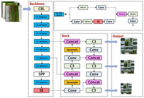 Architecture of YOLOV5-P network.