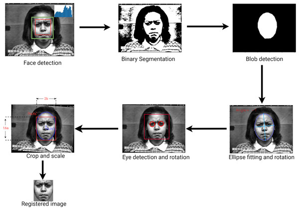 Face detection and registration approach.